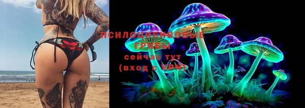 Альфа ПВП Алзамай