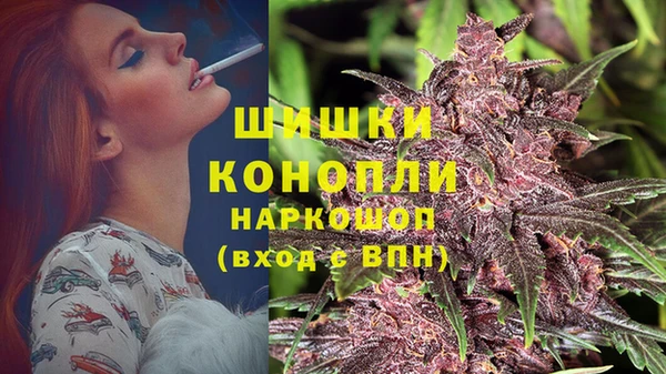 Альфа ПВП Алзамай