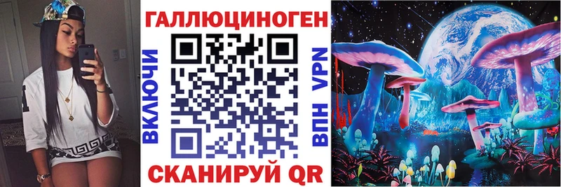 Псилоцибиновые грибы Psilocybine cubensis гидра зеркало Тихвин